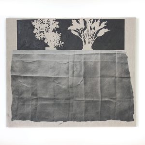 The Path Of The Photon