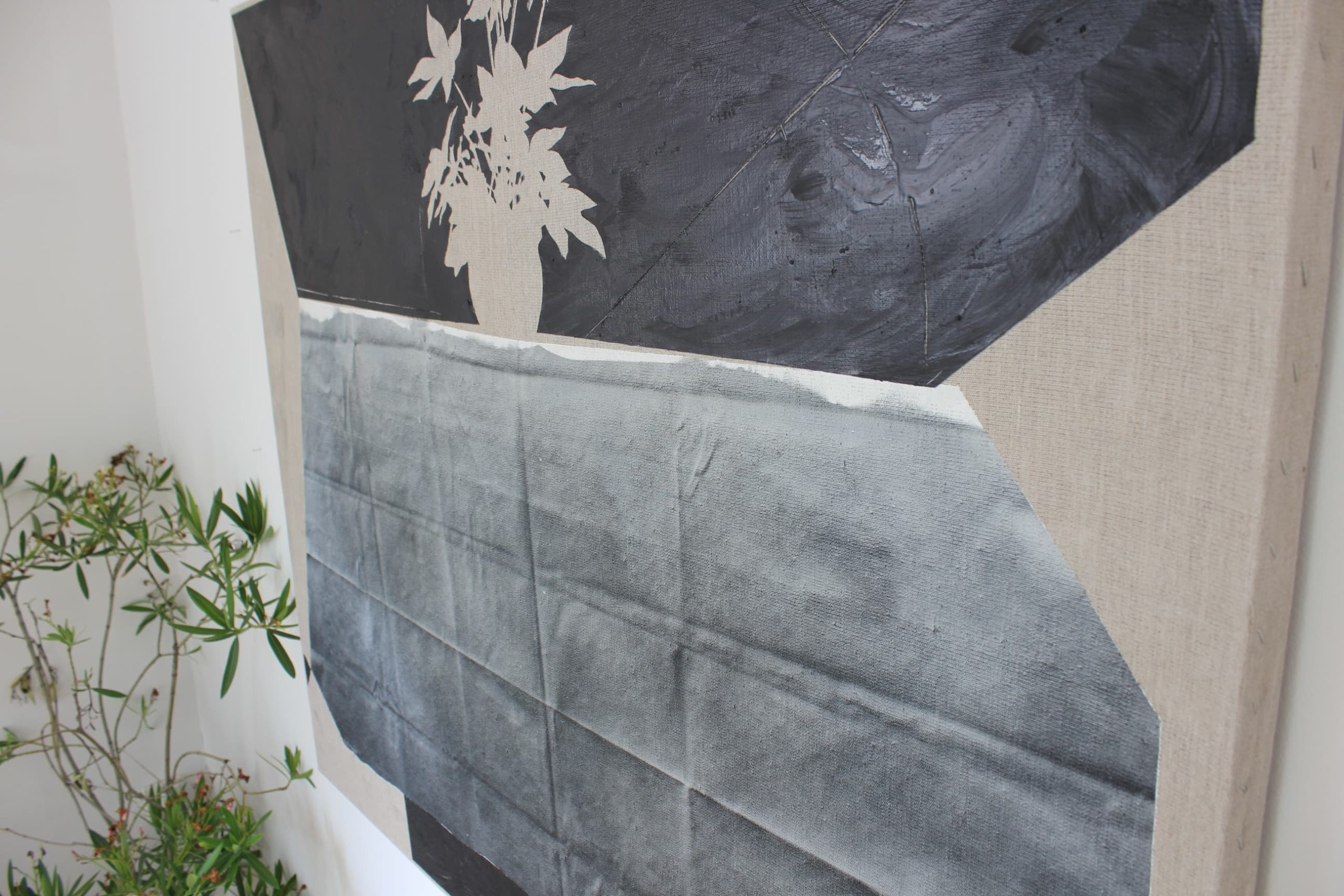 Poinsettia - Image 7