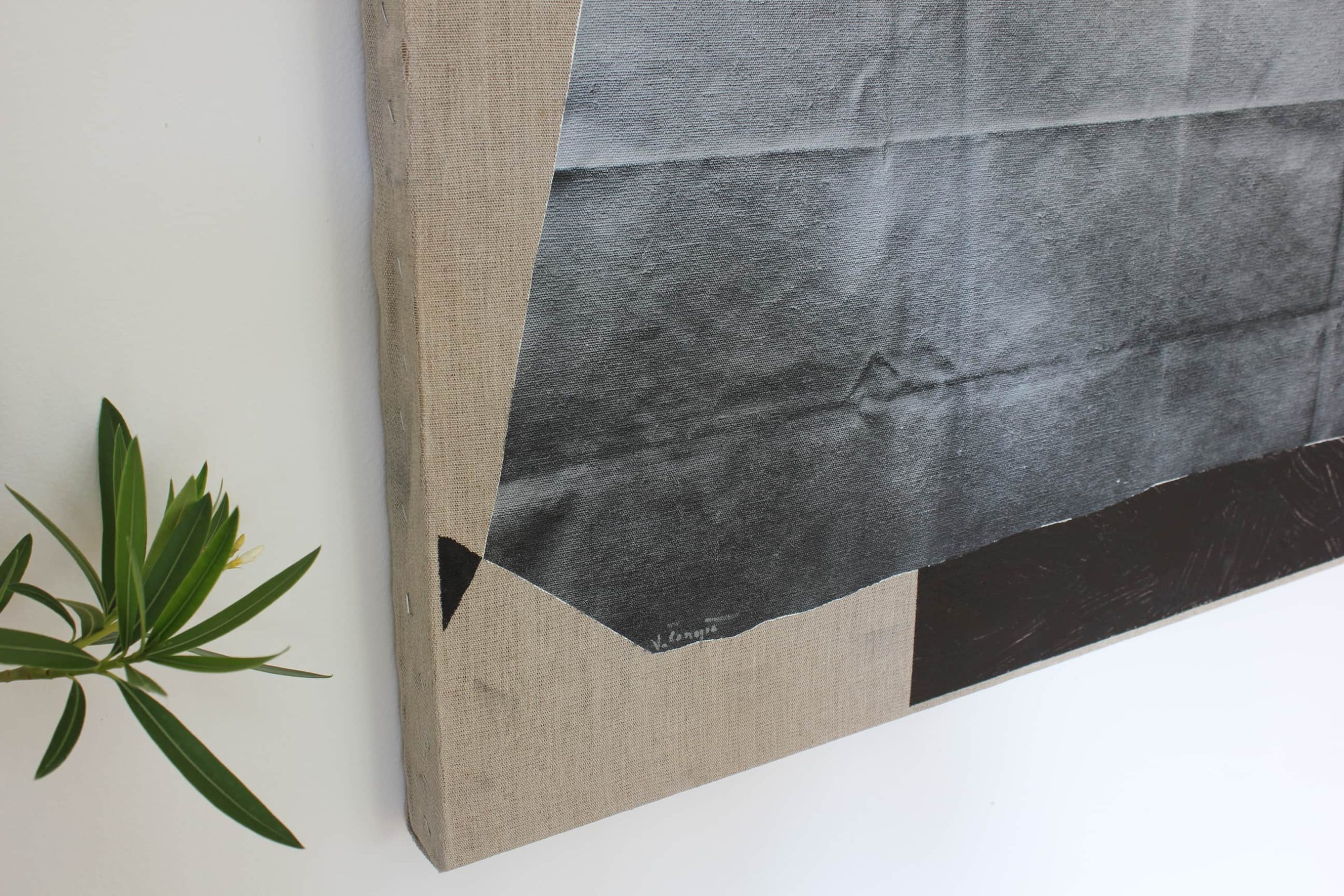 Poinsettia - Image 6