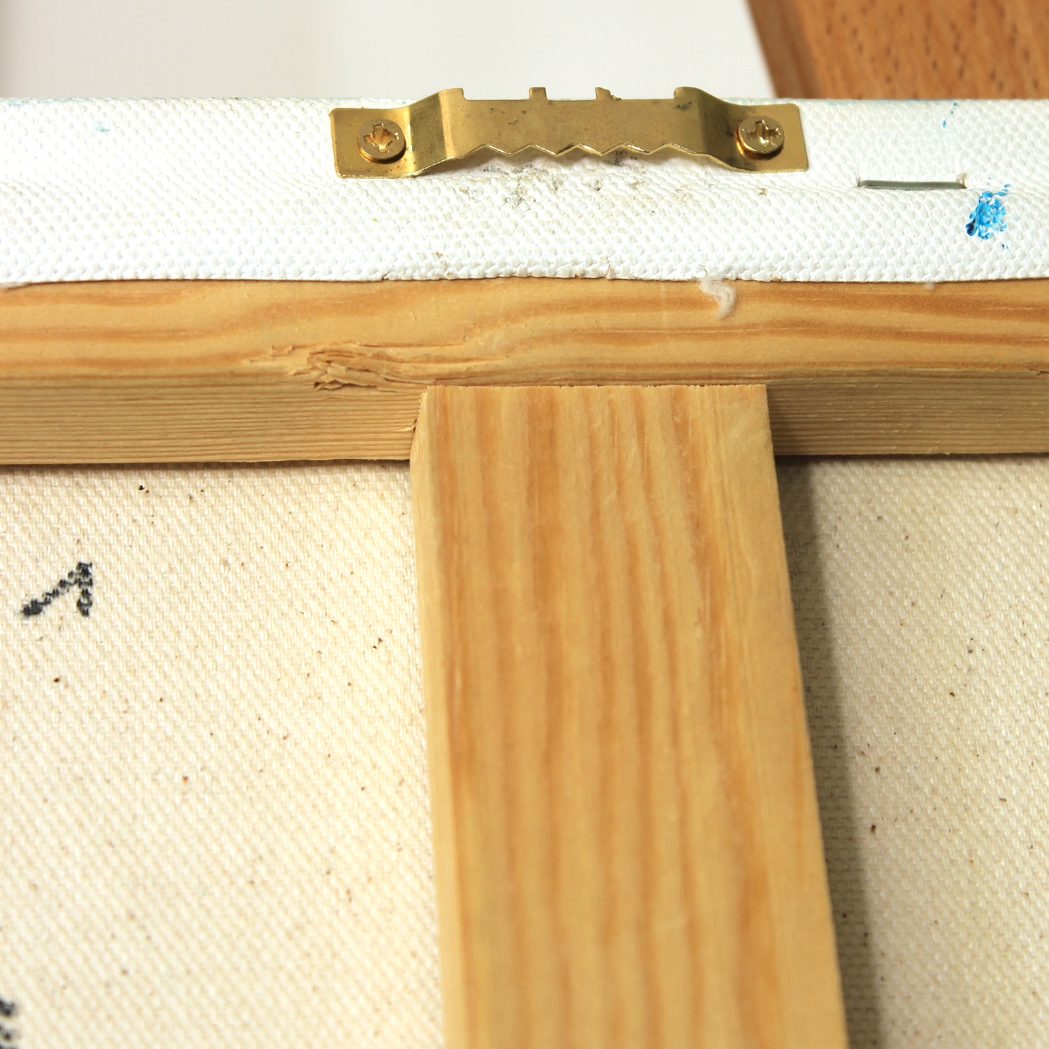 Noble pen shell II - Image 9