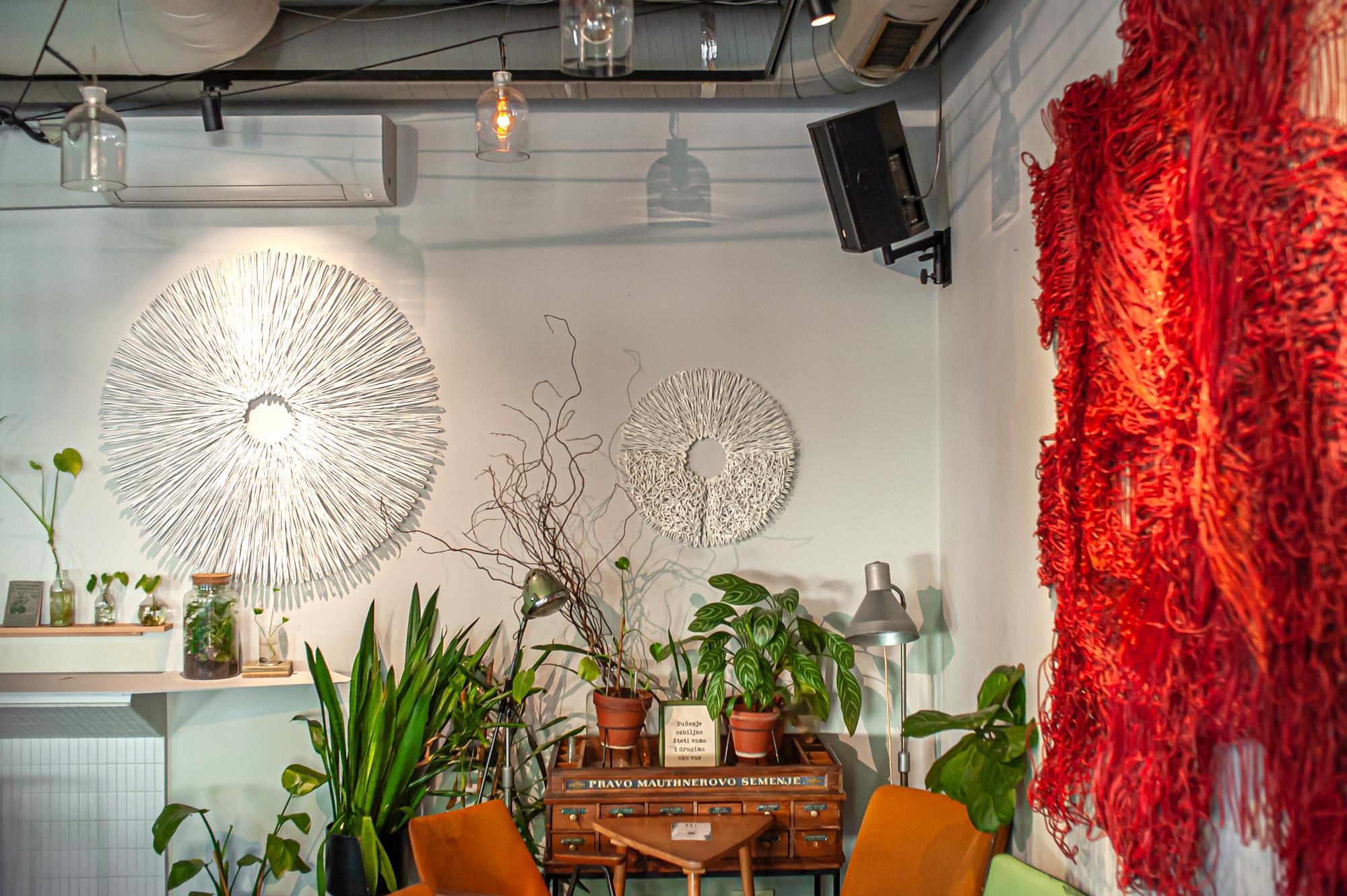 Untitled VII - Image 19