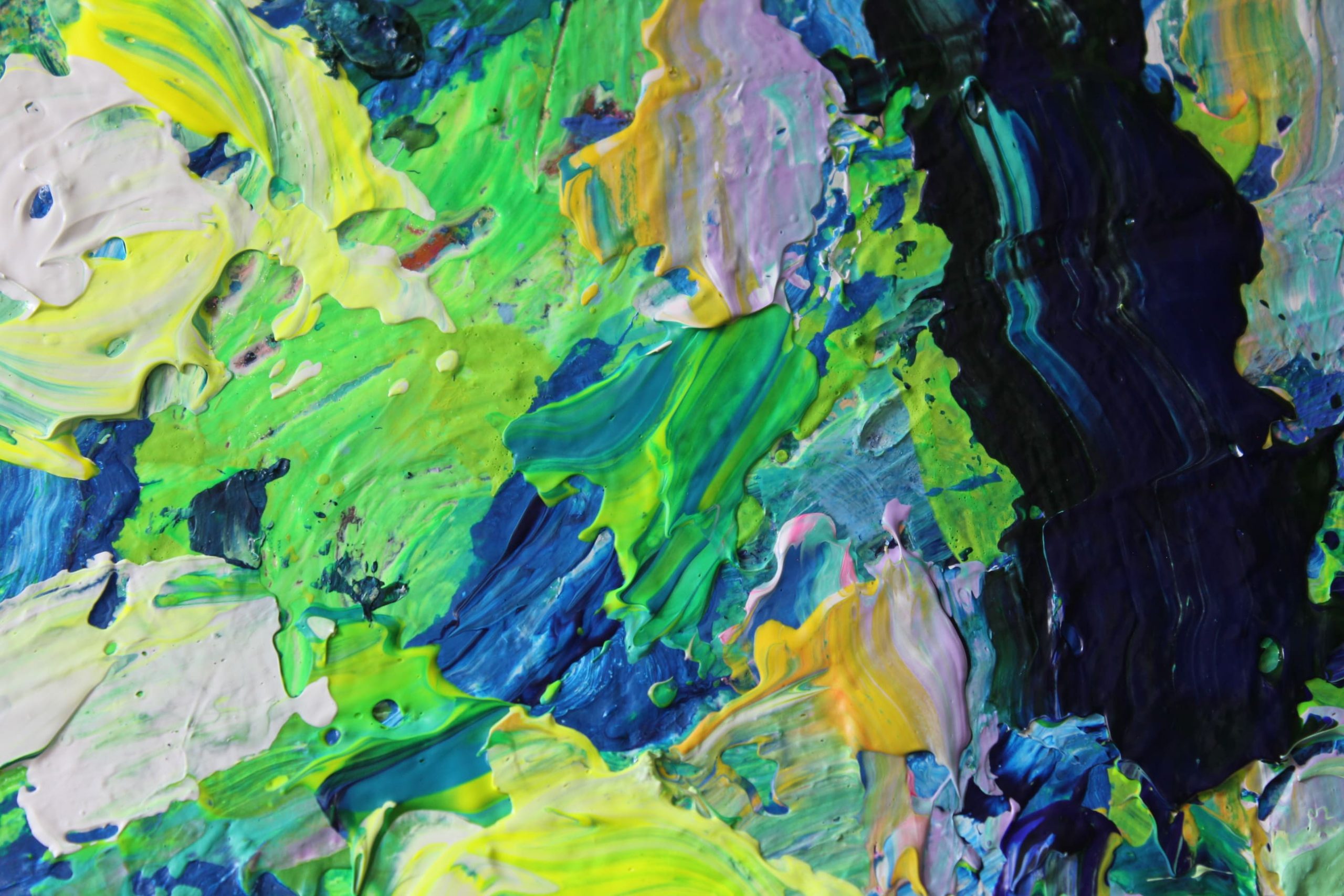 Angel fish - Image 12