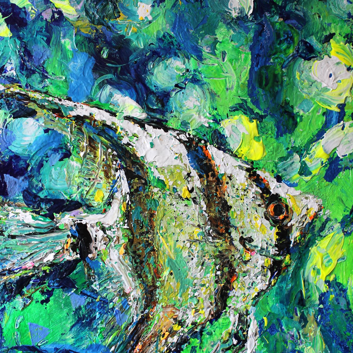 Angel fish - Image 4