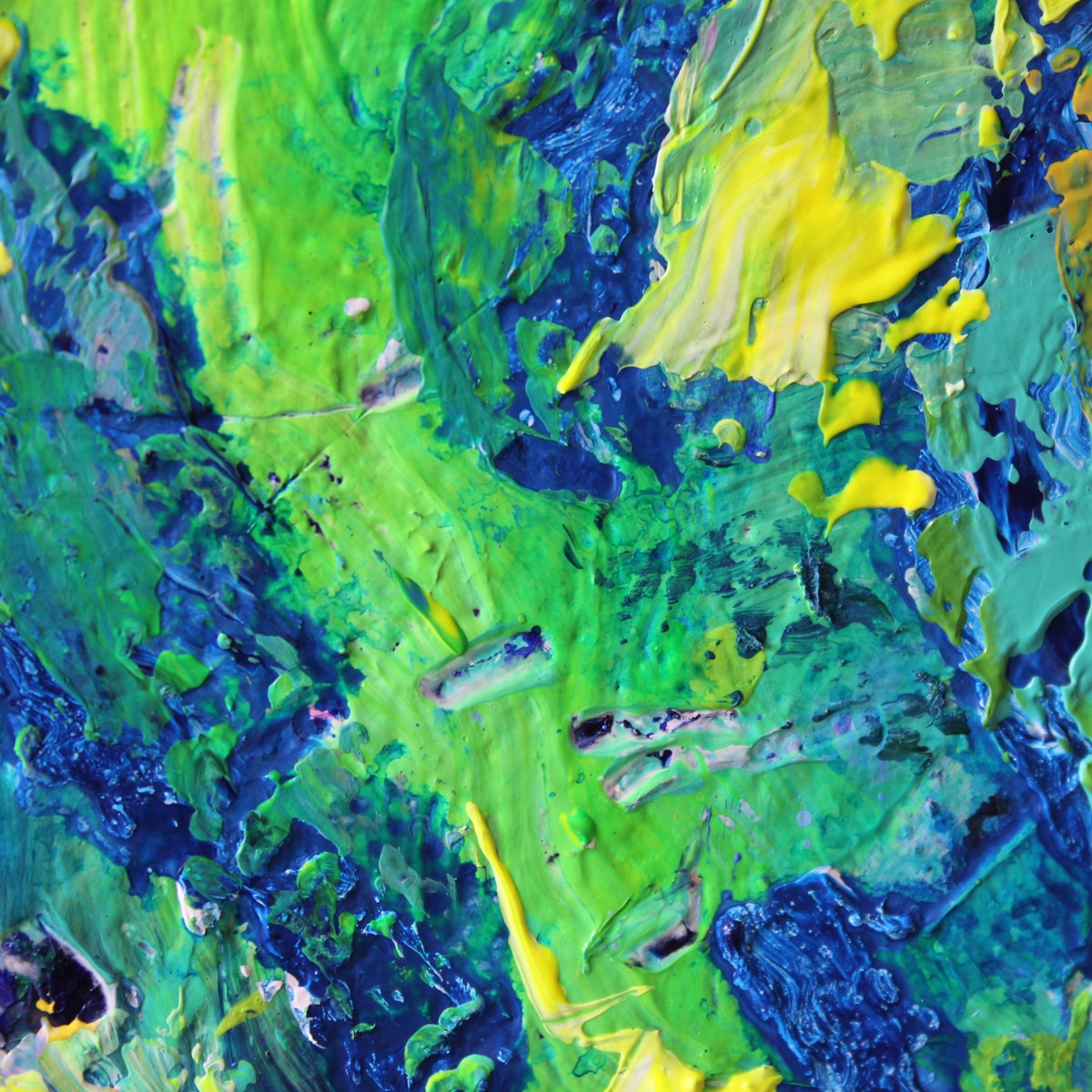 Angel fish - Image 11