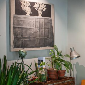 The Path Of The Photon