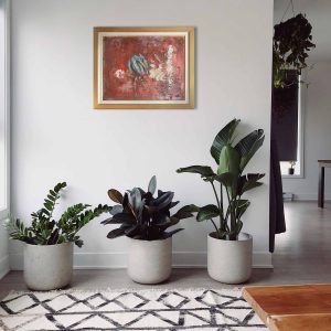 Sardines on a Red Wrinkled Surface