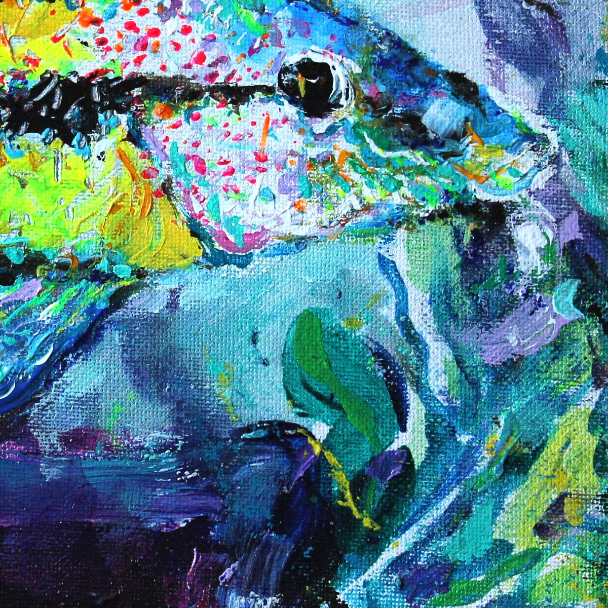 The East Atlantic Peacock Wrasse - Slika 6