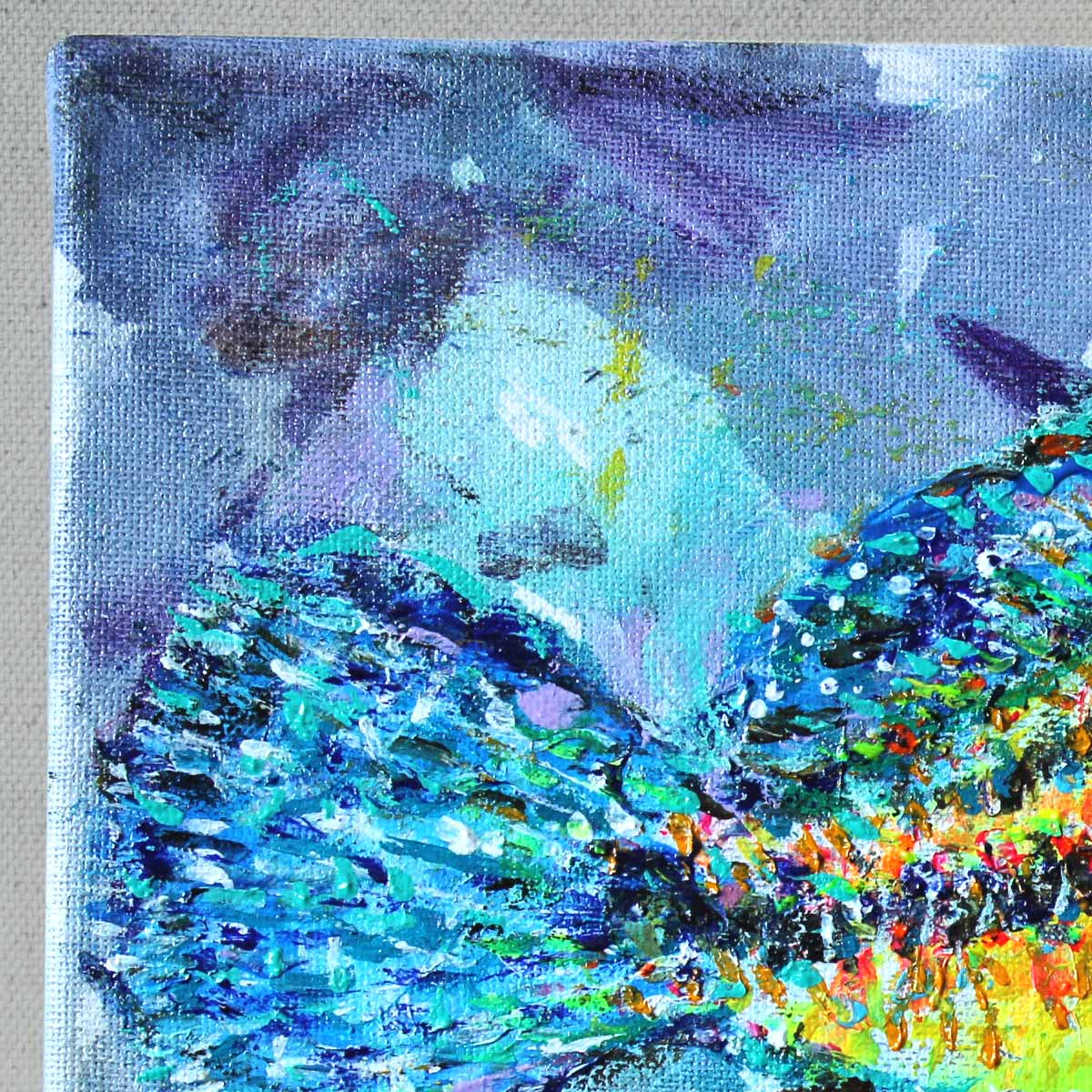 The East Atlantic Peacock Wrasse - Slika 5